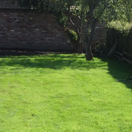 Firtrees * Selby