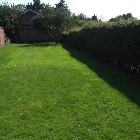 Firtrees * Selby